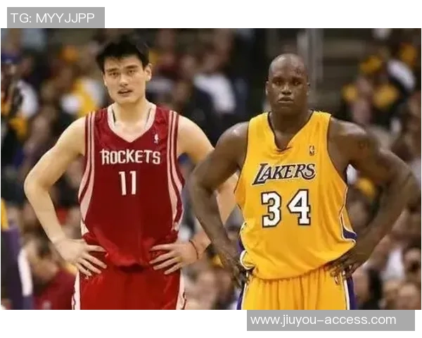 姚明冷数据揭示篮球巨星背后的真实表现与职业生涯的深度分析