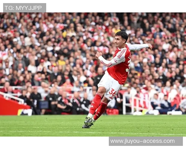 德甲惊喜：利物浦大胜阿森纳全场沸腾数据分析揭示关键因素